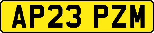 AP23PZM