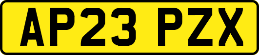 AP23PZX