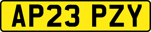 AP23PZY
