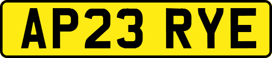 AP23RYE