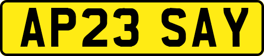 AP23SAY