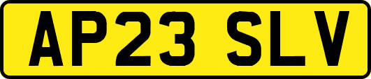 AP23SLV