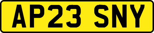 AP23SNY