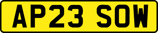 AP23SOW