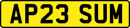 AP23SUM