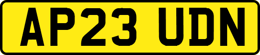 AP23UDN