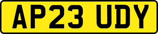 AP23UDY