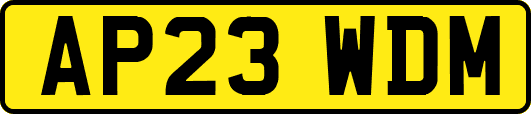 AP23WDM