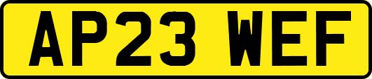 AP23WEF