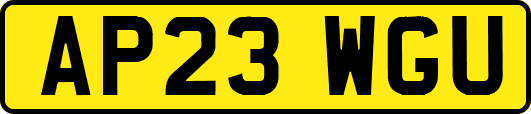 AP23WGU