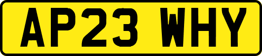 AP23WHY