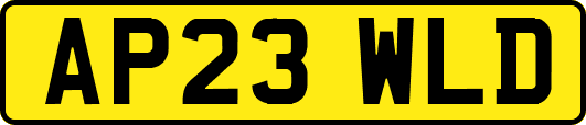 AP23WLD