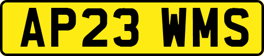 AP23WMS