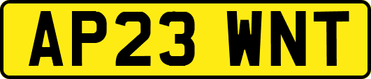 AP23WNT