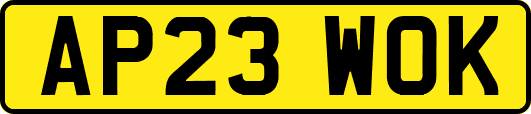 AP23WOK