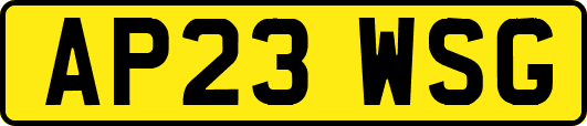 AP23WSG