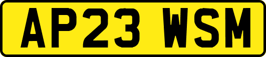AP23WSM