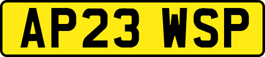 AP23WSP