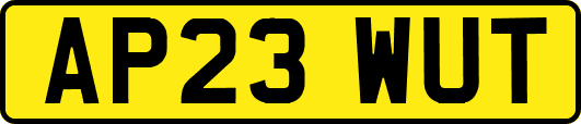 AP23WUT