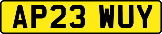 AP23WUY