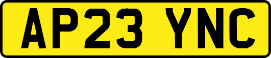 AP23YNC