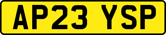 AP23YSP