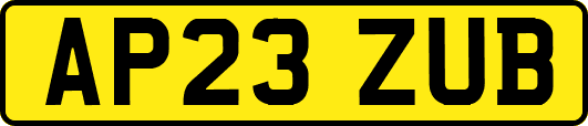 AP23ZUB