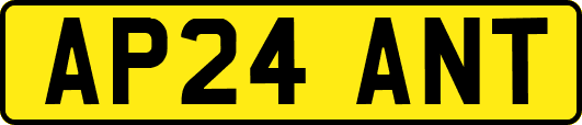 AP24ANT