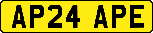 AP24APE