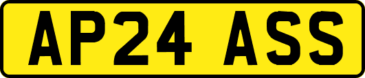 AP24ASS