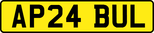 AP24BUL