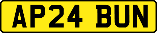 AP24BUN