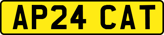 AP24CAT