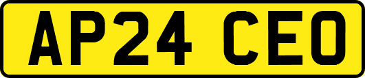 AP24CEO