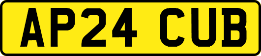 AP24CUB