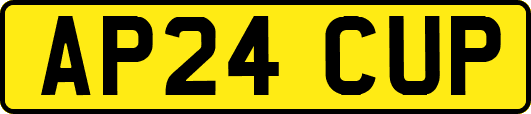 AP24CUP
