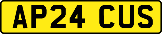 AP24CUS