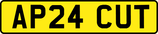 AP24CUT