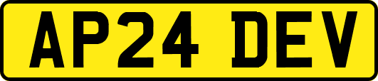 AP24DEV