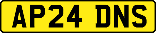AP24DNS
