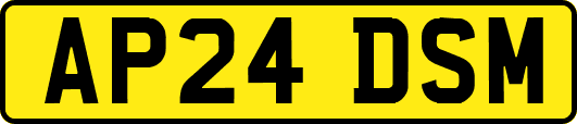 AP24DSM