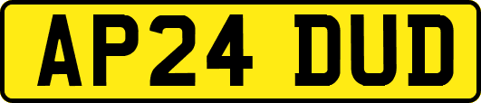 AP24DUD