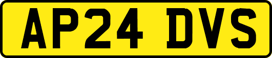 AP24DVS