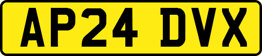 AP24DVX
