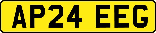AP24EEG