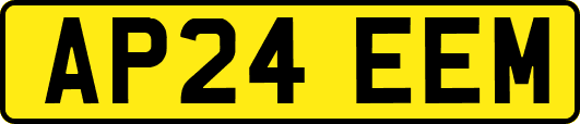 AP24EEM