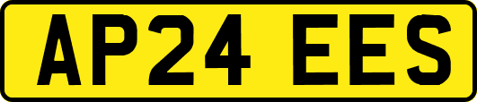 AP24EES