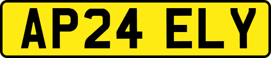 AP24ELY