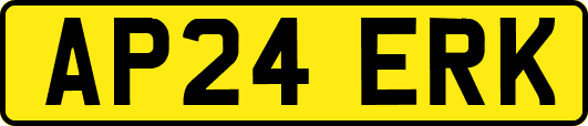 AP24ERK