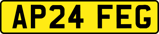 AP24FEG